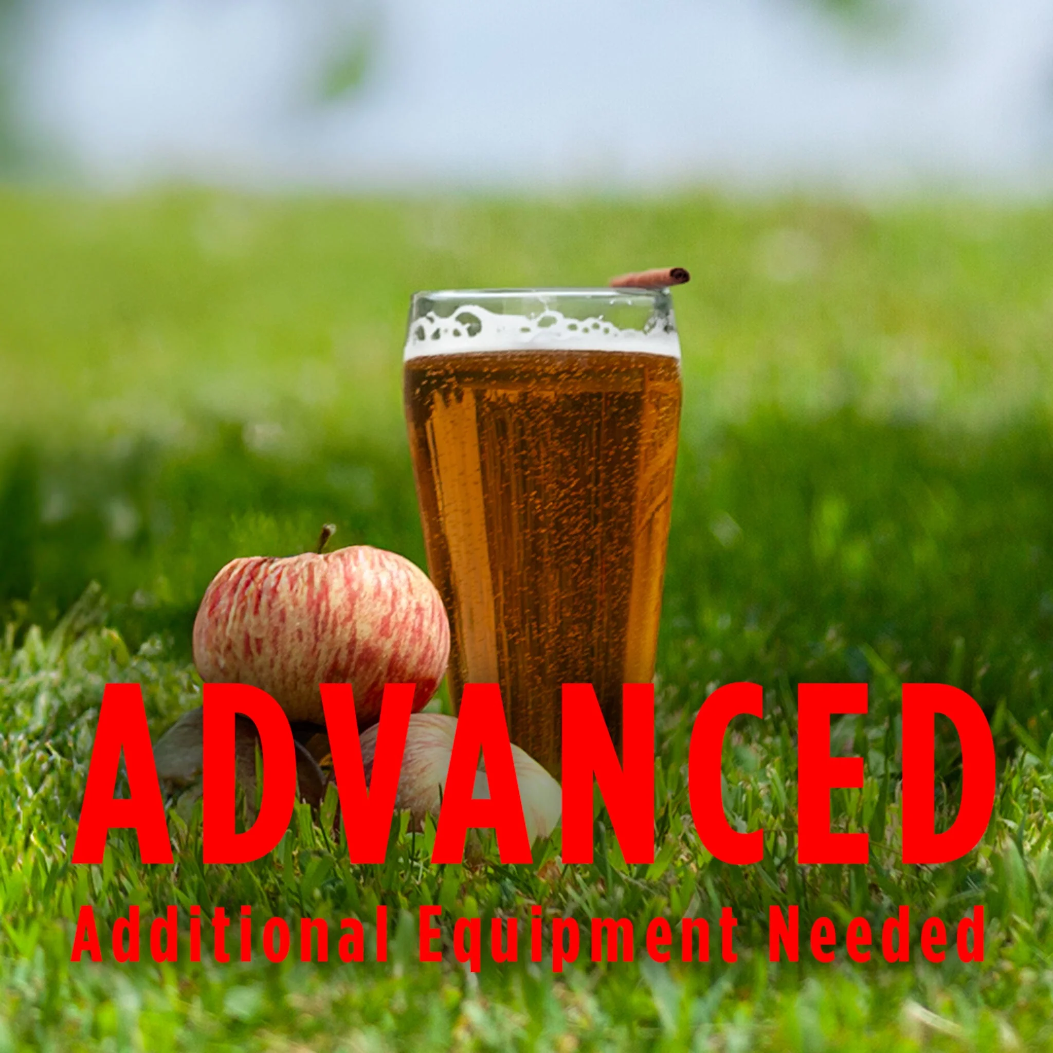 Best-Selling Beer Kits